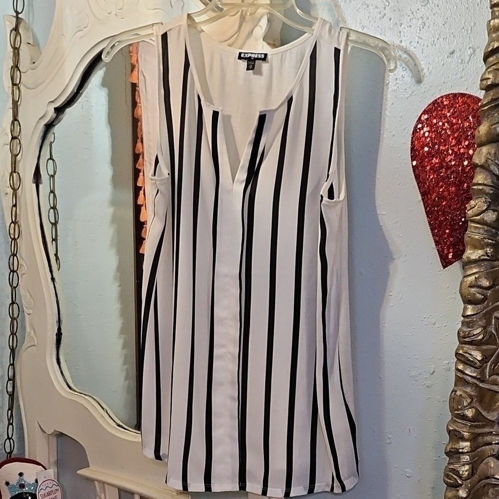 Express Black and White Striped Blouse